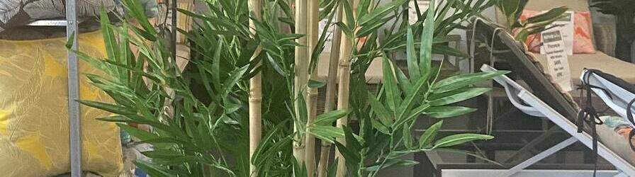 Bamboo 185cm
