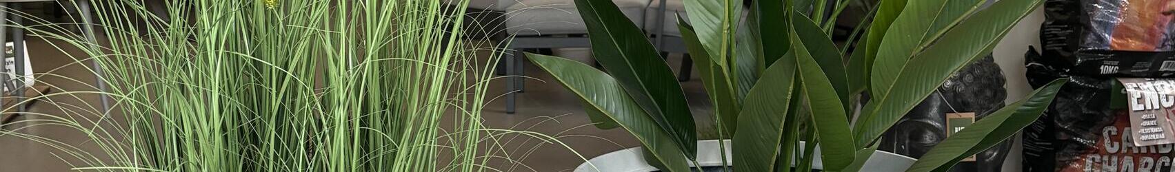 Resin Plant Pots