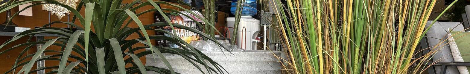 Resin Plant Pots