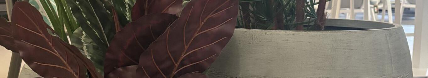 Round Plant Pots