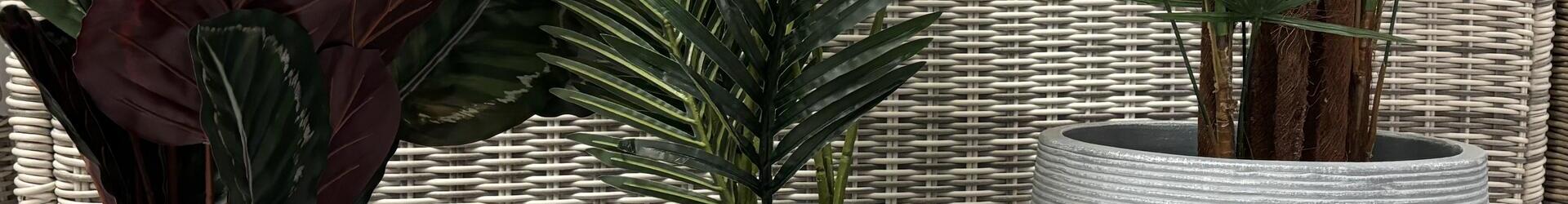 Plant Pots